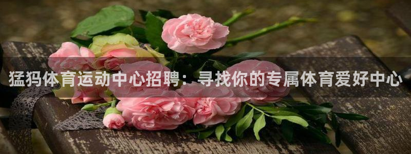 bsports官网 必一运动：猛犸体育运动中心招聘：寻找你的专属体育爱好中心