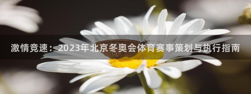 必一运动官网：激情竞速：2023年北京冬奥会体育赛事策划与执行指南