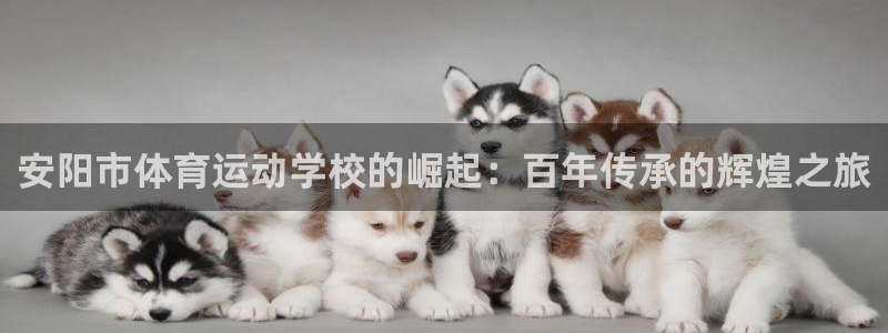 必一运动体育官网